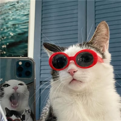 Fajar Nugraha avatar